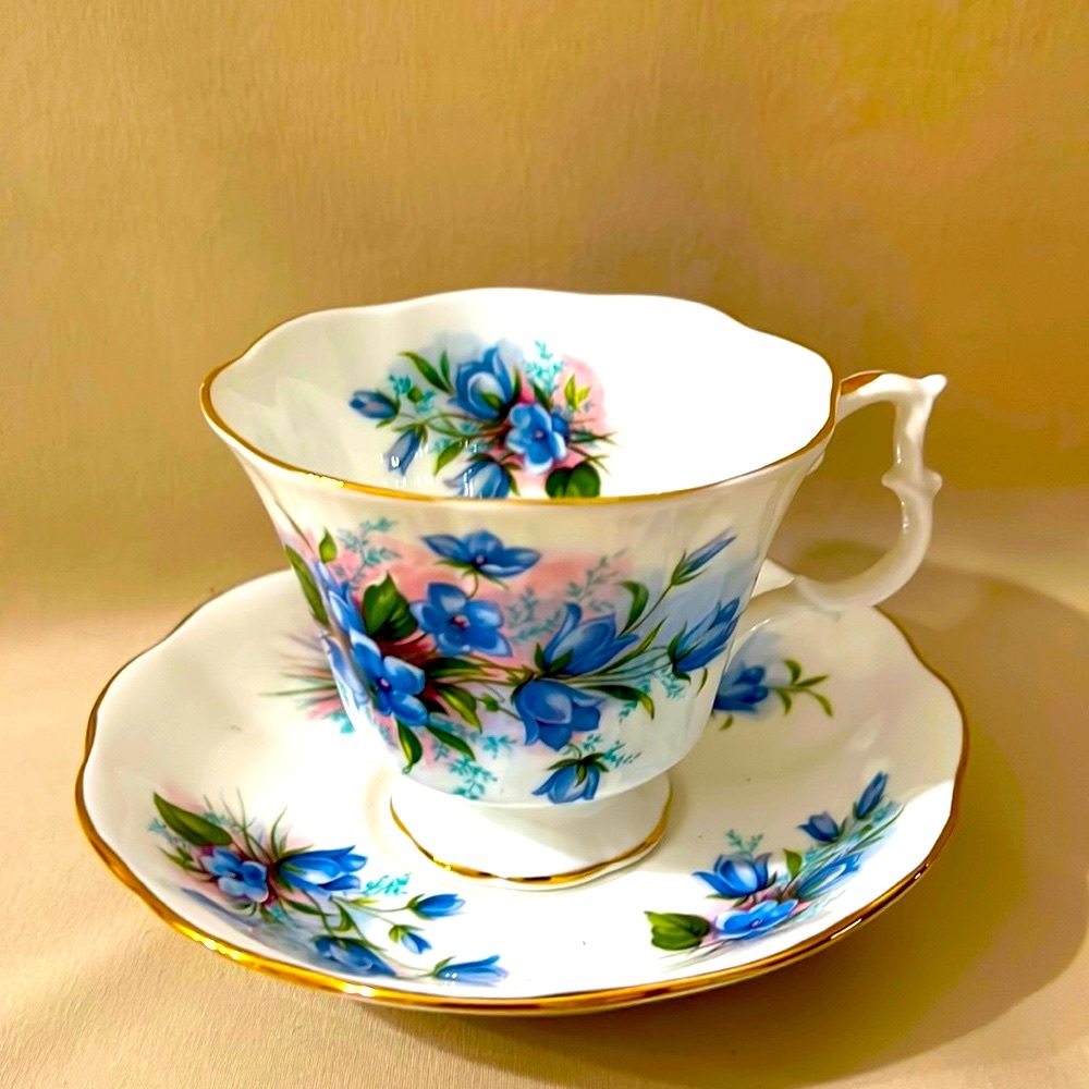 Vintage Royal Albert Tea Cup and Saucer Set, English Bone China W1202